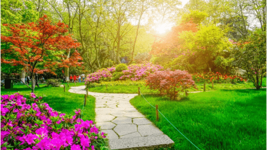 From Concept to Creation: A Guide to Effective Landscape Design