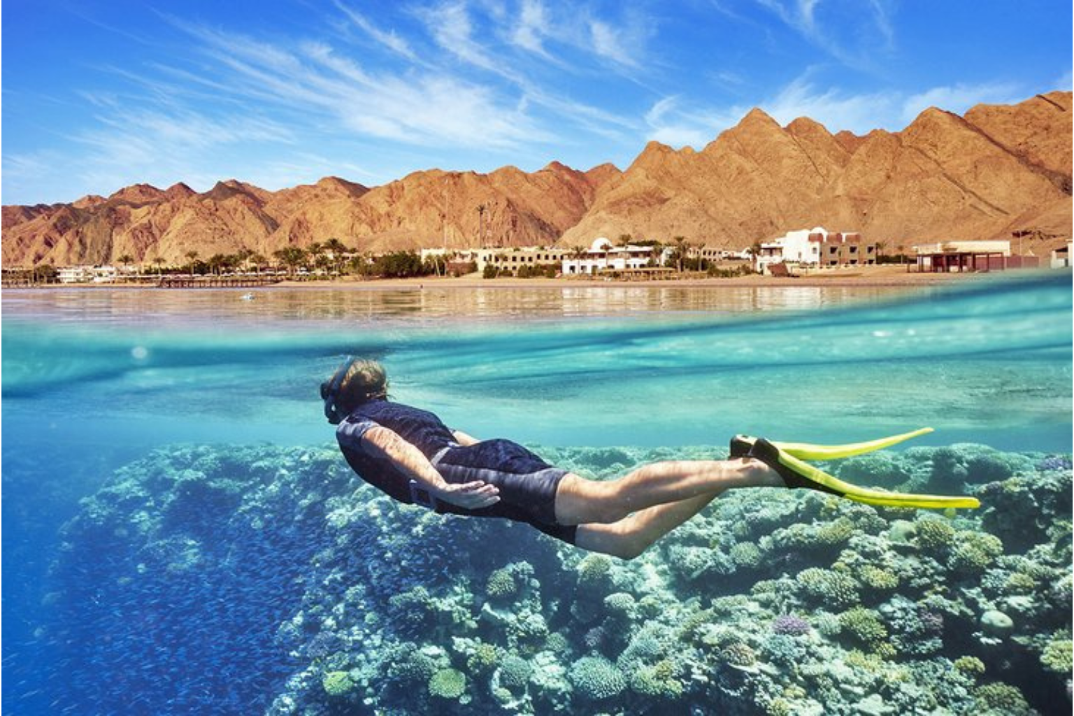 Why the Red Sea is the Best Diving Destination in the World