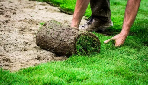 Landscaping companies near me